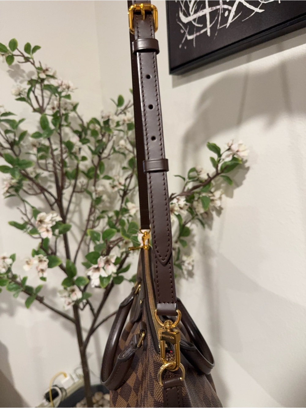 LV siena damier ebene PM - Picture 9 of 11